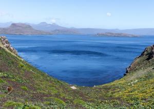 Mayes PlonPlon Beach-1